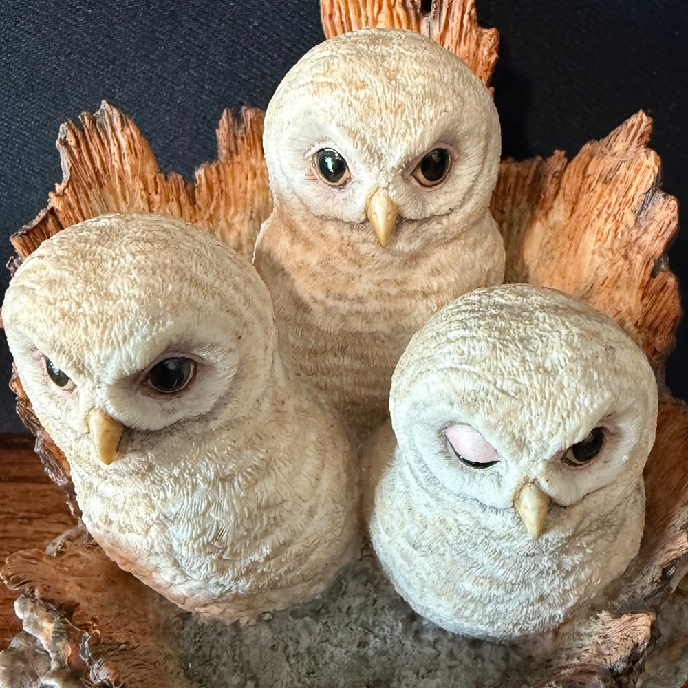 BORDER FINE ARTS Owl Figurine - Picture 7 of 16